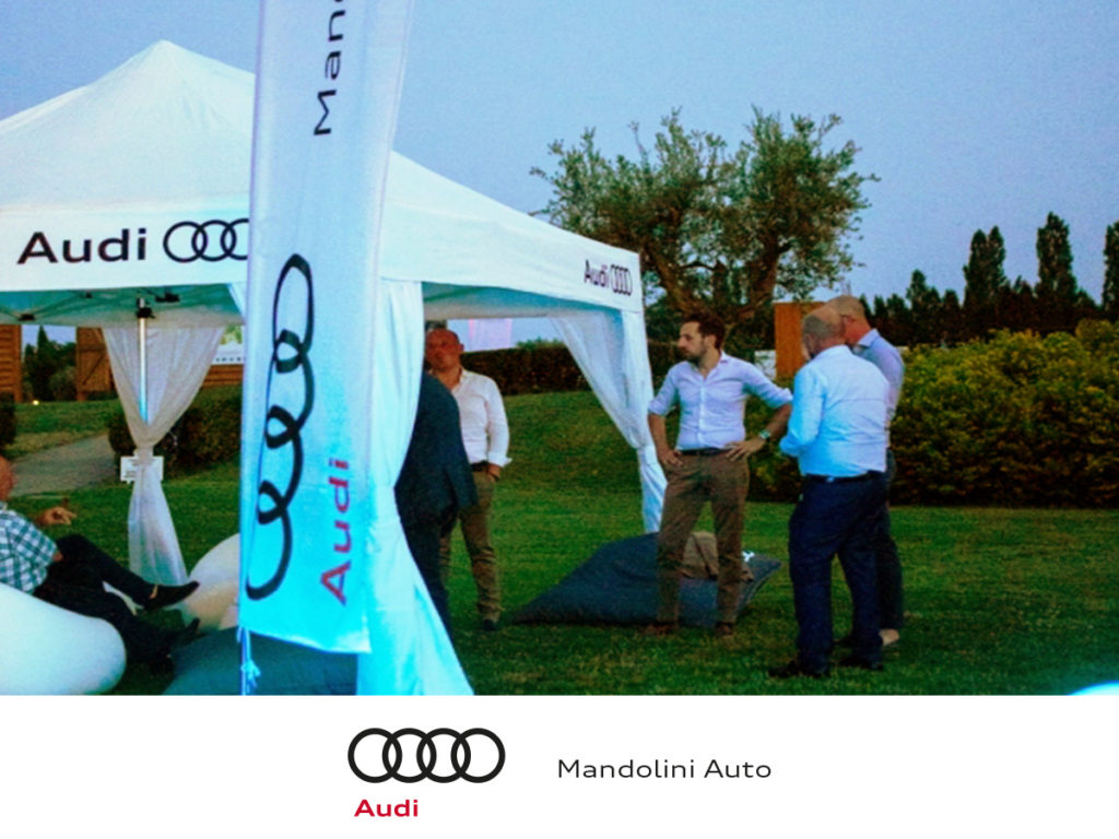SPORT PER VEICOLARE I VALORI DI MANDOLINI AUTO